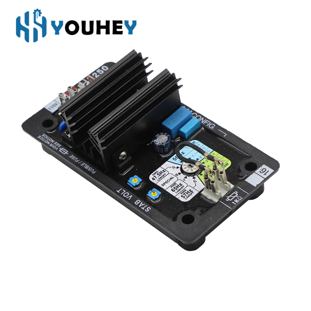 R250 AVR Leroy Somer Automatic - đánh giá và giá Cycloidal Reducer Bldc Motor