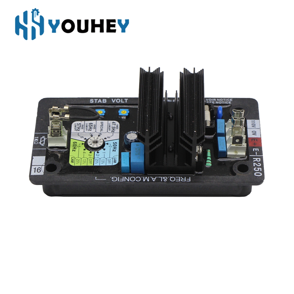 R250 AVR Leroy Somer Automatic - đánh giá và giá Cycloidal Reducer Bldc Motor